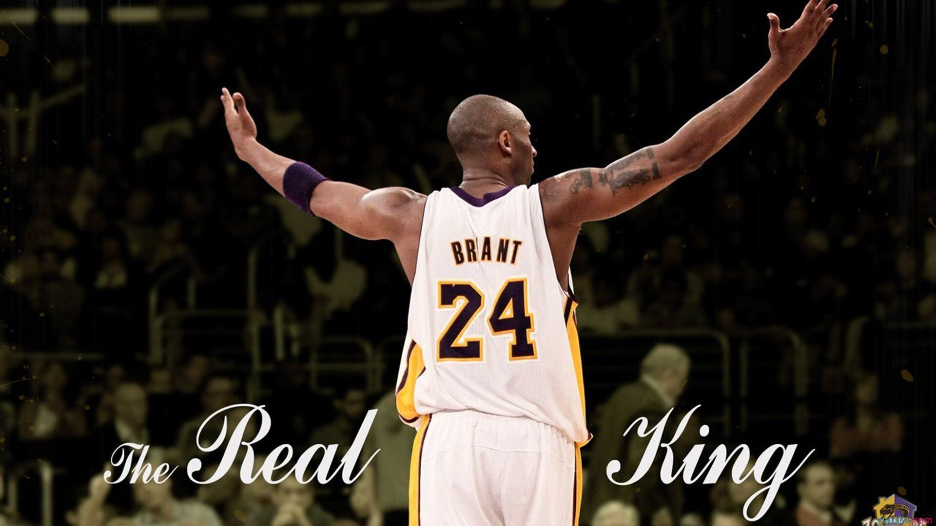 _名将重返赛场:辉煌岁月再续新篇章_,名将怎么玩